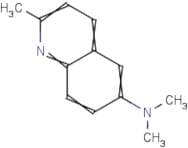 N,N,2-Trimethylquinolin-6-amine