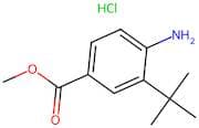 Methyl 4-amino-3-(tert-butyl)benzoate hydrochloride