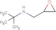 2-Methyl-N-((oxiran-2-yl)methyl)propan-2-amine