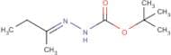 tert-Butyl 2-(butan-2-ylidene)hydrazinecarboxylate