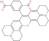 6-Carboxy-X-rhodamine