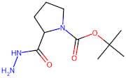 tert-Butyl 2-(hydrazinecarbonyl)pyrrolidine-1-carboxylate