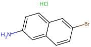 6-Bromonaphthalen-2-amine hydrochloride