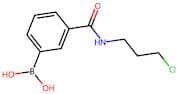 3-(3-Chloropropylcarbamoyl)benzeneboronic acid