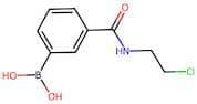 3-(2-Chloroethylcarbamoyl)benzeneboronic acid