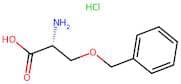 O-Benzyl-D-serine hydrochloride