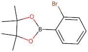 2-(2-Bromophenyl)-4,4,5,5-tetramethyl-1,3,2-dioxaborolane