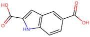 1H-Indole-2,5-dicarboxylic acid