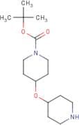 4-(Piperidin-4-yloxy)-piperidine-1-carboxylic acid tert-butyl ester