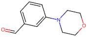 3-(Morpholin-4-yl)benzaldehyde