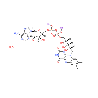 Flavin Adenine Dinucleotide Disodium Salt Hydrate