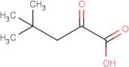 4,4-Dimethyl-2-oxo-pentanoic acid