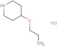 4-Propoxypiperidine hydrochloride