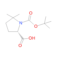 (S)-Boc-5,5-Dimethyl-pyrrolidine-2-carboxylic acid