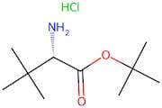 tert-Butyl (S)-2-amino-3,3-dimethylbutanoate hydrochloride