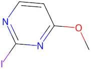 2-Iodo-4-methoxypyrimidine