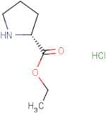 H-D-Pro-OEt hydrochloride