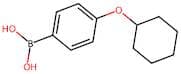 (4-(Cyclohexyloxy)phenyl)boronic acid