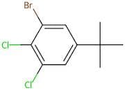 1-Bromo-2,3-dichloro-5-(1,1-dimethylethyl)benzene