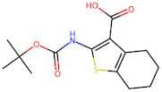 2-((tert-Butoxycarbonyl)amino)-4,5,6,7-tetrahydrobenzo[b]thiophene-3-carboxylic acid