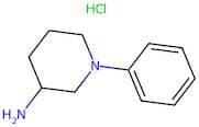 1-Phenylpiperidin-3-amine hydrochloride