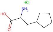 2-amino-3-cyclopentylpropanoic acid hydrochloride
