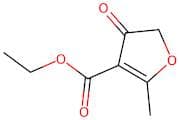 2-Methyl-4-oxo-4,5-dihydro-furan-3-carboxylic acid ethyl ester