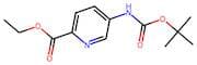 5-tert-Butoxycarbonylamino-pyridine-2-carboxylic acid ethyl ester