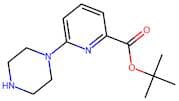 tert-Butyl 6-piperazin-1-ypyridine-2-carboxylate