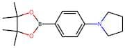 4-(Pyrrolidin-1-yl)benzeneboronic acid, pinacol ester