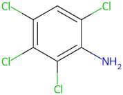 2,3,4,6-Tetrachloro-phenylamine