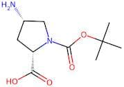 cis-1-(1,1-Dimethylethyoxycarbonyl)-4-amino-L-proline