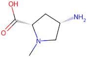 1-Methyl-4-amino-L-proline carboxylic acid