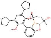 (R,R)-BaryPhos