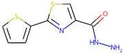 2-(2-Thienyl)-1,3-thiazole-4-carbohydrazide
