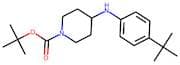 tert-Butyl 4-[4-(tert-butyl)anilino]tetrahydro-1(2H)-pyridinecarboxylate 95%