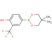 4-Hydroxy-3-(trifluoromethyl)benzeneboronic acid, neopentyl glycol ester