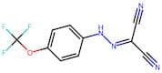 2-{2-[4-(Trifluoromethoxy)phenyl]hydrazono}malononitrile