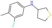 n-(3-Fluoro-4-methylphenyl)tetrahydrothiophen-3-amine