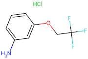 3-(2,2,2-Trifluoroethoxy)aniline hydrochloride