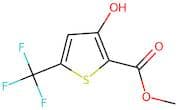 Methyl 3-Hydroxy-5-trifluoromethylthiophene-2-carboxylate