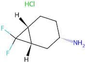 (1S,3S,6R)-7,7-Difluorobicyclo[4.1.0]heptan-3-amine hydrochloride