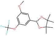 2-(3-Methoxy-5-(trifluoromethoxy)phenyl)-4,4,5,5-tetramethyl-1,3,2-dioxaborolane