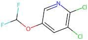 2,3-Dichloro-5-(difluoromethoxy)pyridine