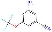 3-Amino-5-(trifluoromethoxy)benzonitrile