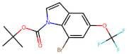 tert-Butyl 7-bromo-5-(trifluoromethoxy)-1H-indole-1-carboxylate
