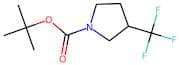 tert-Butyl 3-(trifluoromethyl)pyrrolidine-1-carboxylate