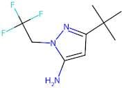 3-(tert-Butyl)-1-(2,2,2-trifluoroethyl)-1H-pyrazol-5-amine