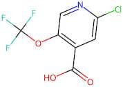 2-Chloro-5-(trifluoromethoxy)isonicotinic acid