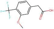 2-(3-Methoxy-4-(trifluoromethyl)phenyl)acetic acid